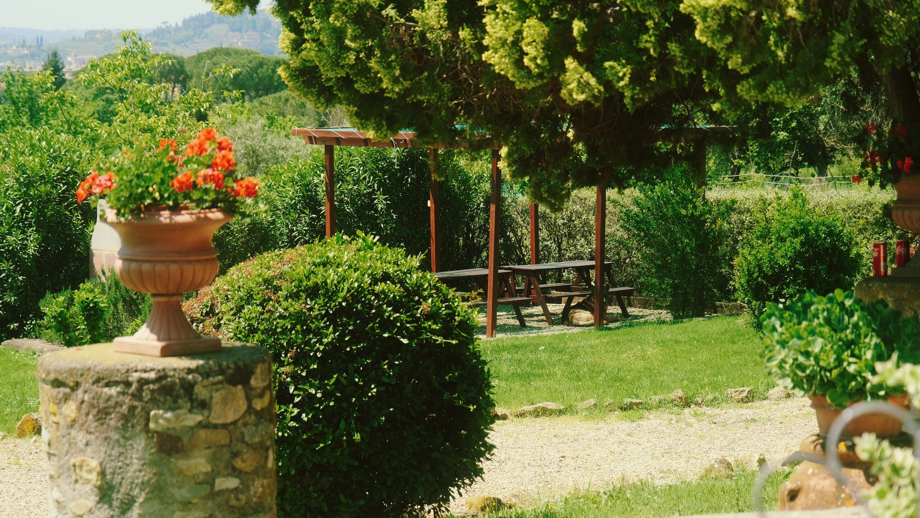Un jardin agrémenté d’une pergola en bois, d’une table de pique-nique et de plantes en pot.