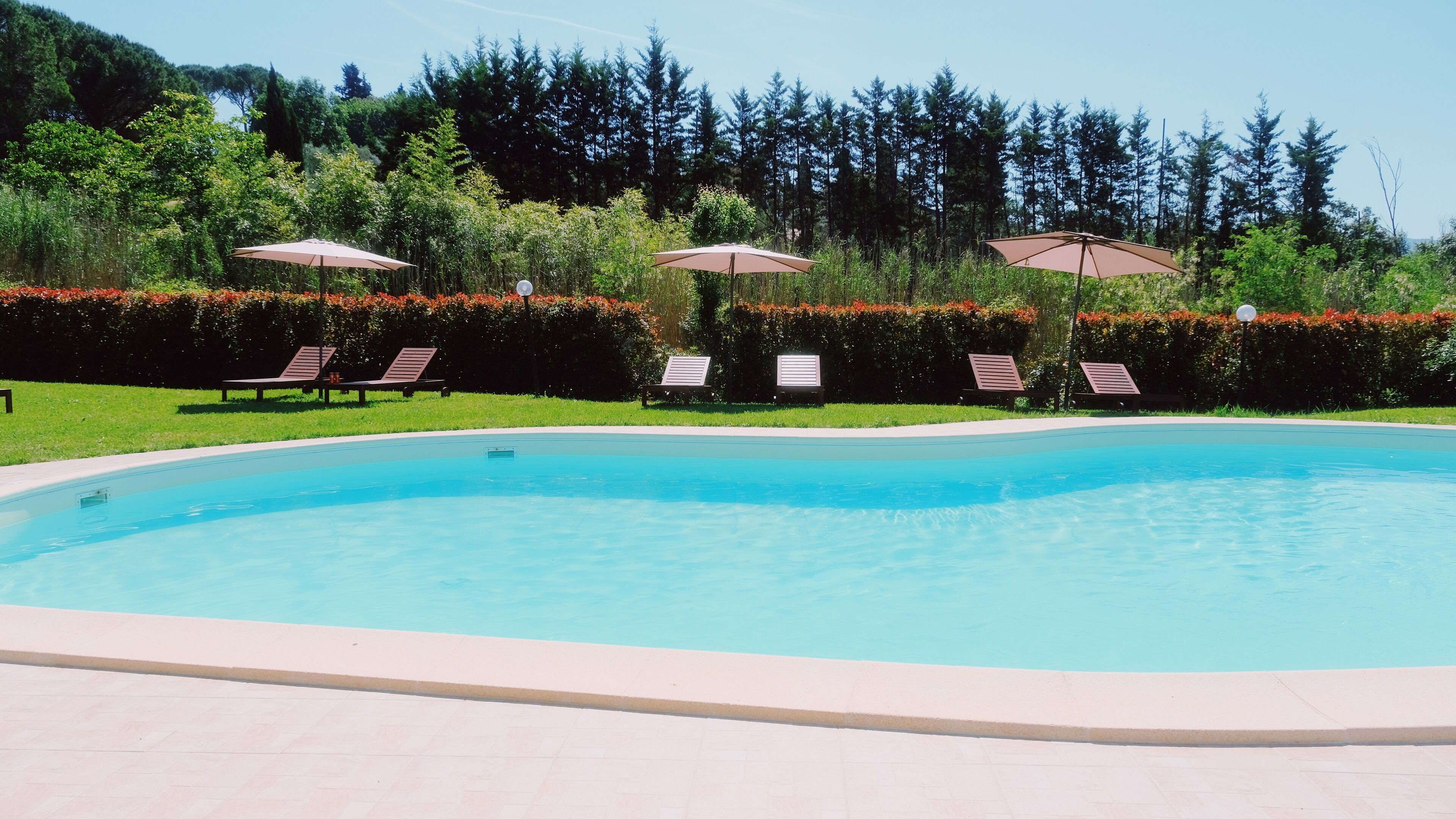 Une piscine entourée de verdure et d’arbres, avec des chaises longues et des parasols.