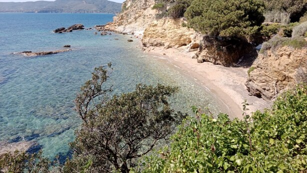 A coastal landscape with clear waters, sandy beach, rocky cliffs, and dense greenery. - APPARTAMENTI NEREIDI - MONO NEREIDI (Capoliveri)