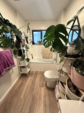 Hair dryer, towels, soap, toilet paper