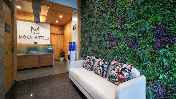 Un espace d’accueil avec un canapé blanc, un comptoir de réception et un mur recouvert de plantes vertes.