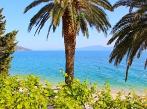 Apartament (Apartment 1A) | Exterior