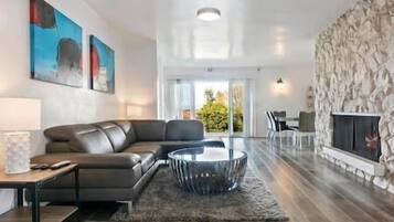 TV, fireplace, books