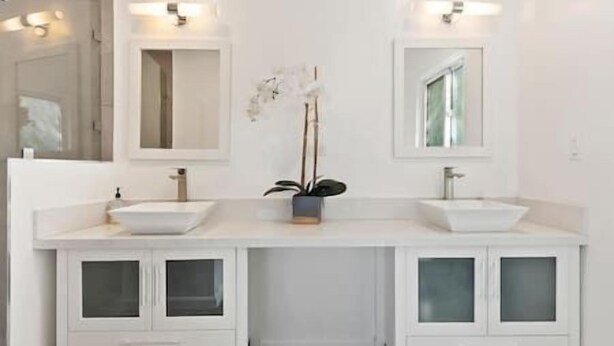 Un baño moderno con dos lavamanos, armarios de cristal satinado y una planta en maceta en el centro.