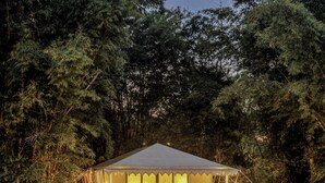 A tented structure with a reflective water surface in front, surrounded by dense trees. - Bagh Villas | Kanha (Baihar)