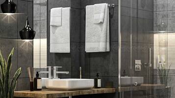 Haartrockner, Handtücher, Toilettenpapier