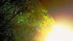 Une vue d’un balcon orné d’une balustrade, entouré d’une végétation luxuriante et baigné par un soleil éclatant qui filtre à travers les arbres.
