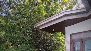 Un espace extérieur abrité, doté d’une balustrade blanche, d’un sol humide et d’un bâtiment dont la fenêtre reflète une structure.