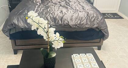 Odriozola’s Vrbo Studio