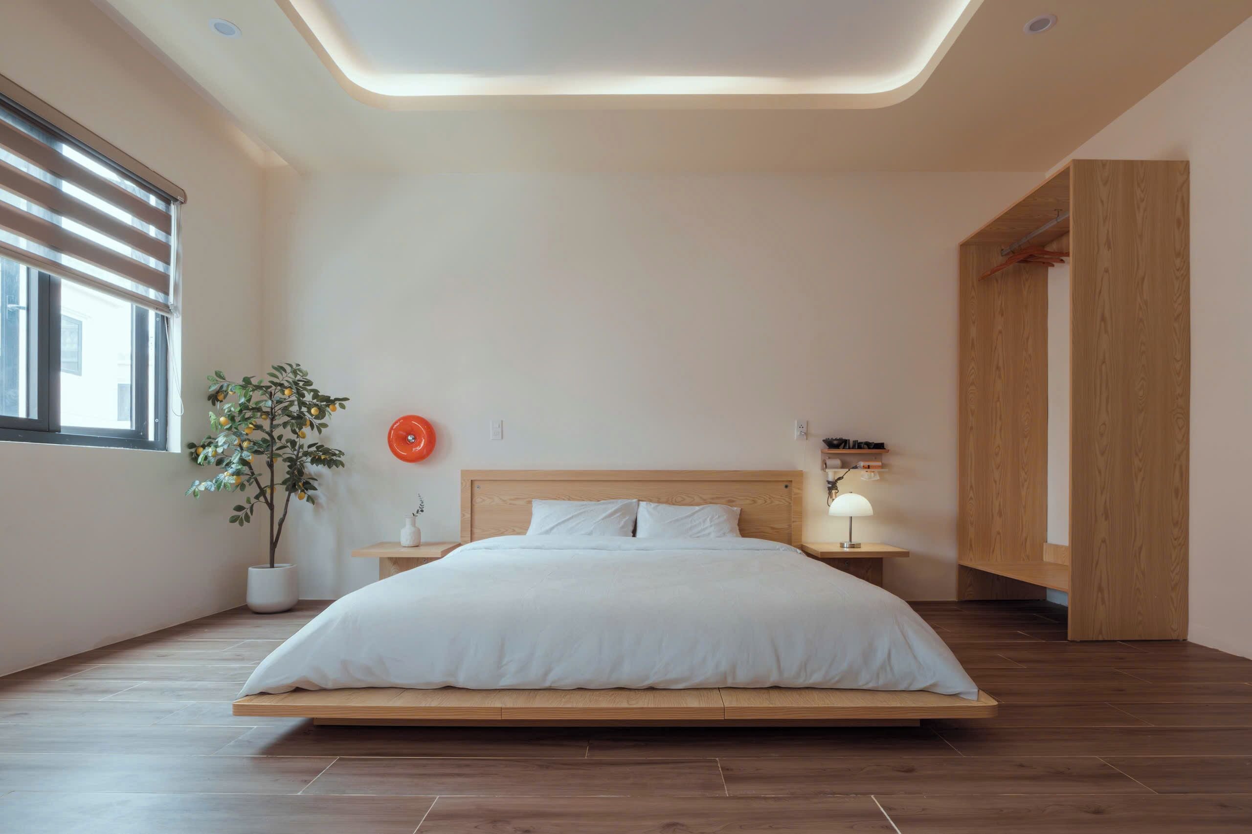A modern bedroom with a wooden bed, a potted plant, a bedside table with a lamp, and a wooden wardrobe.