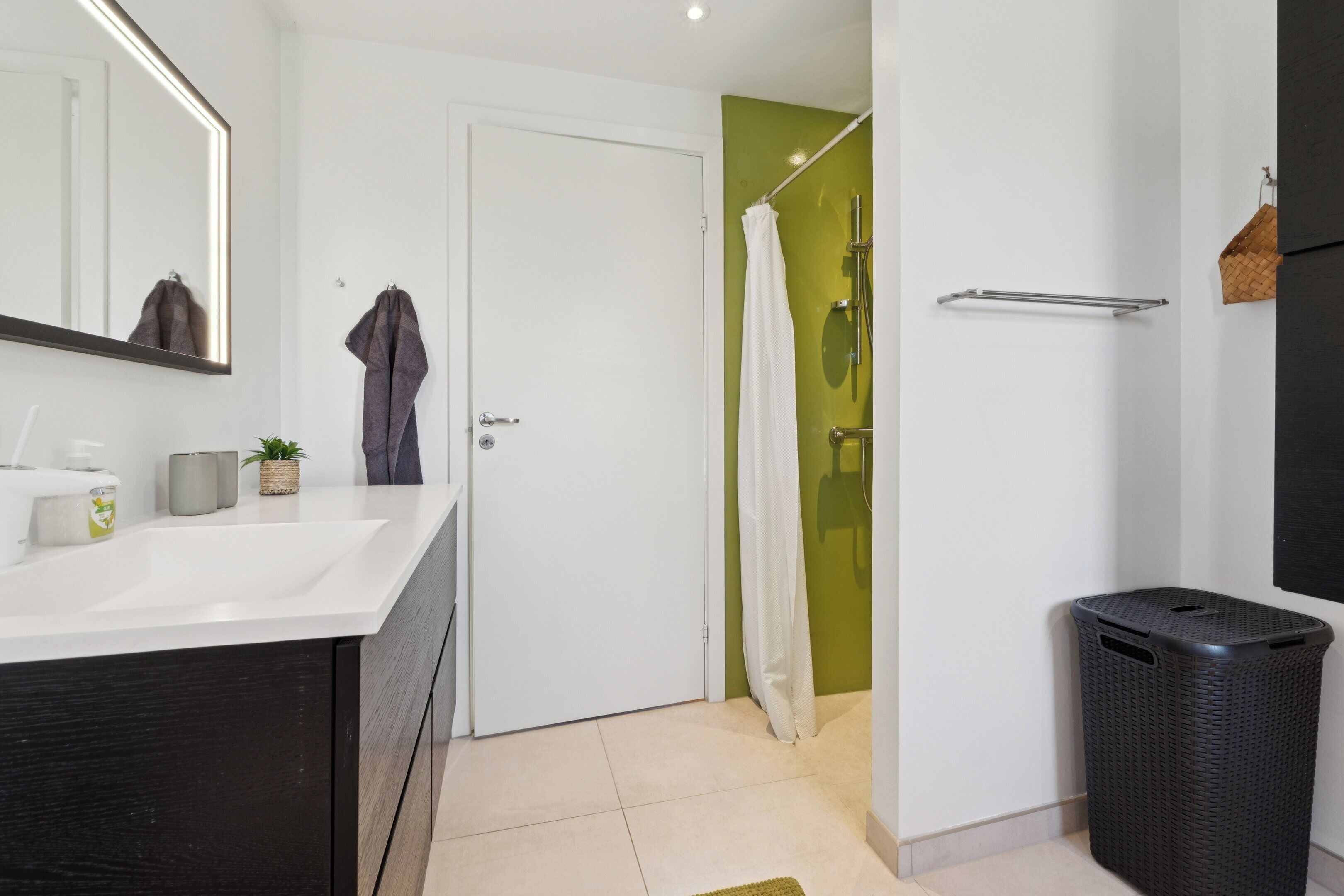 Shower, hair dryer