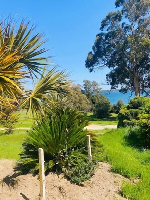 Property grounds - Serenity in the heart of nature (Aléria)