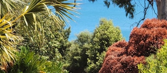 Sérénité en pleine nature