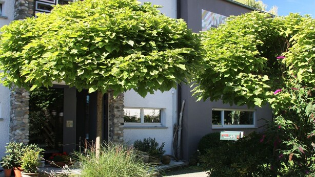 A building with a stone facade, a paved entrance, and a garden with various plants and a signboard. - Apartment "Panorama" with Lake and Mountain Views, Wi-Fi (Friedrichshafen)