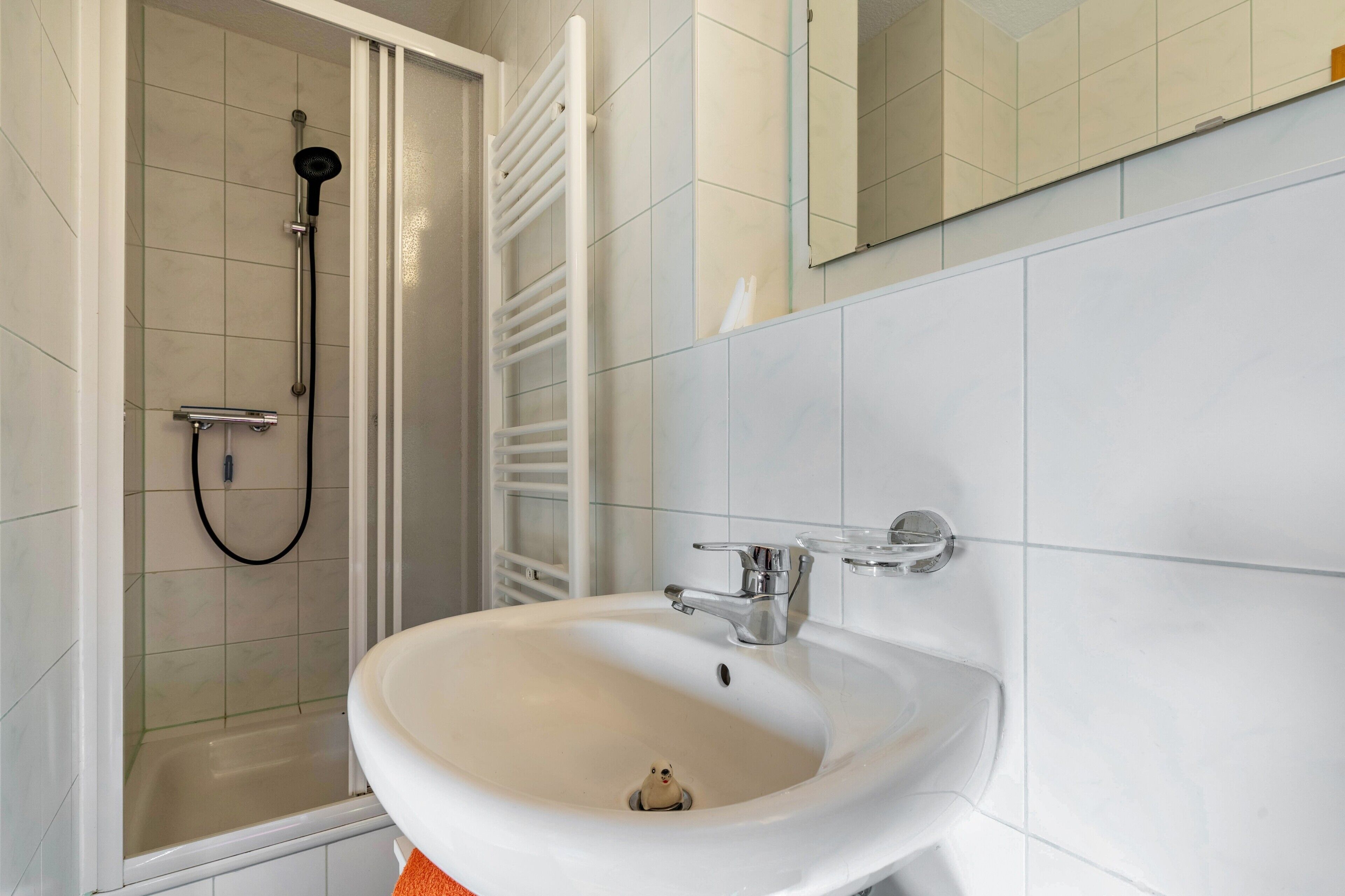 Dusche, Haartrockner, Handtücher