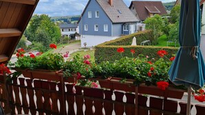 A residential area with a blue house, a wooden fence, and potted plants.