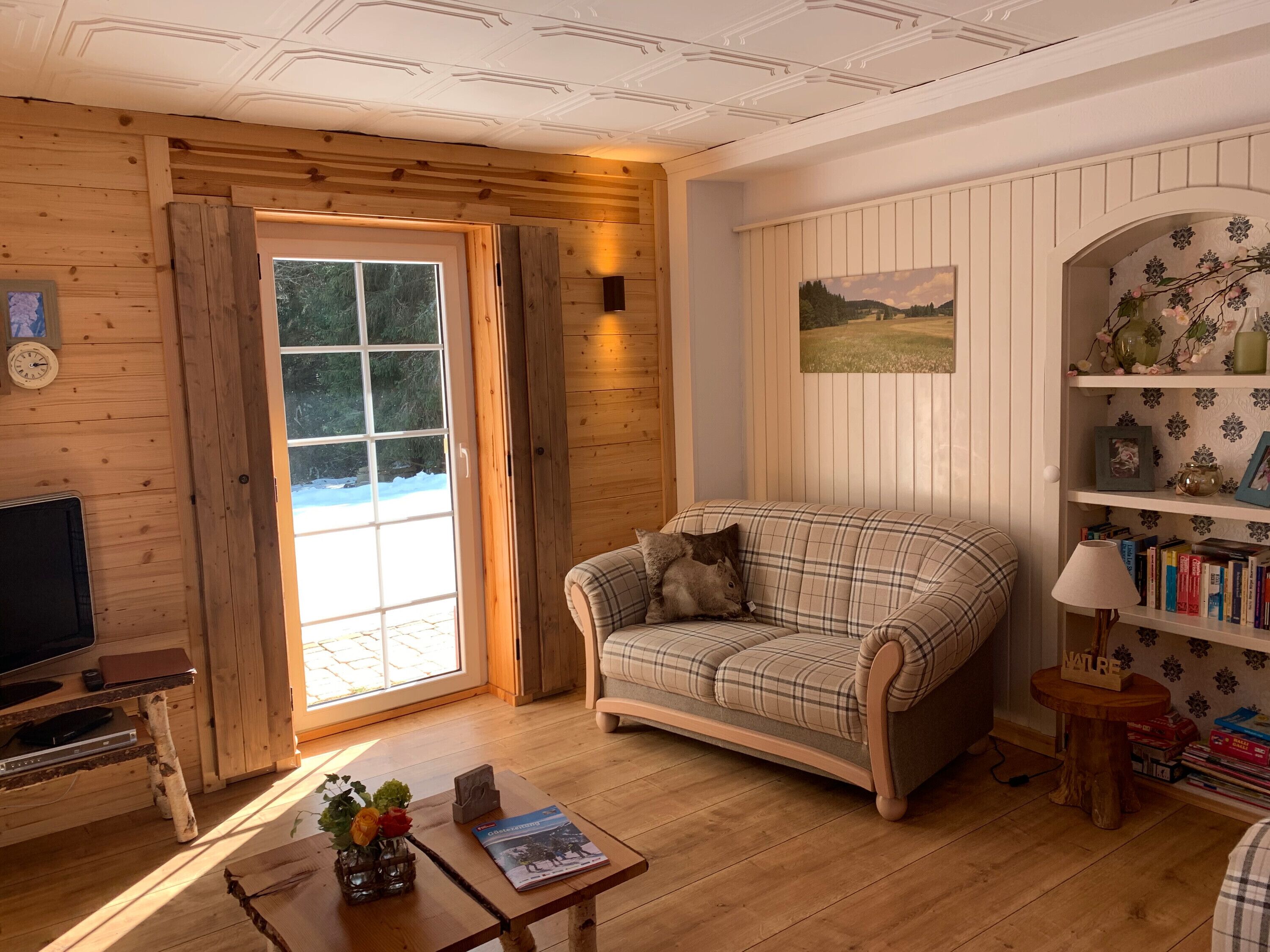 Fernseher, DVD-Player