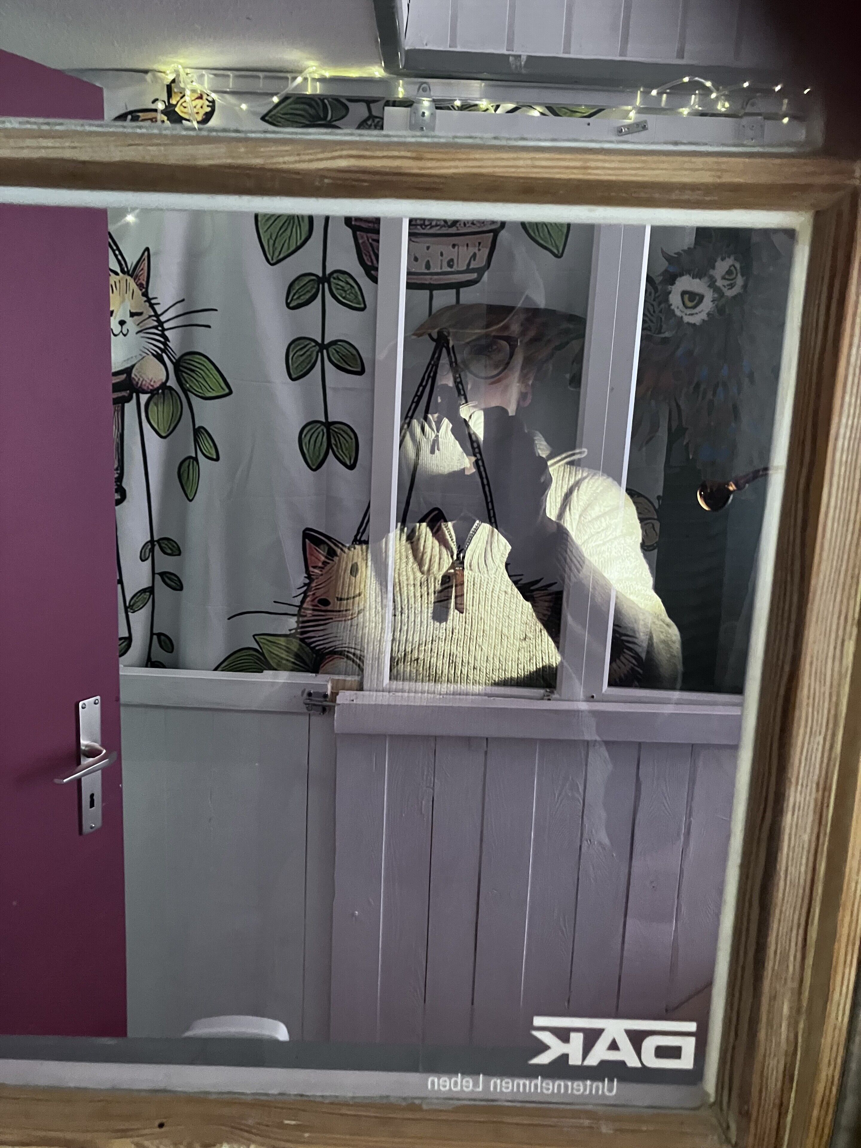 A room with a window, a door, and a wall with a cat pattern.