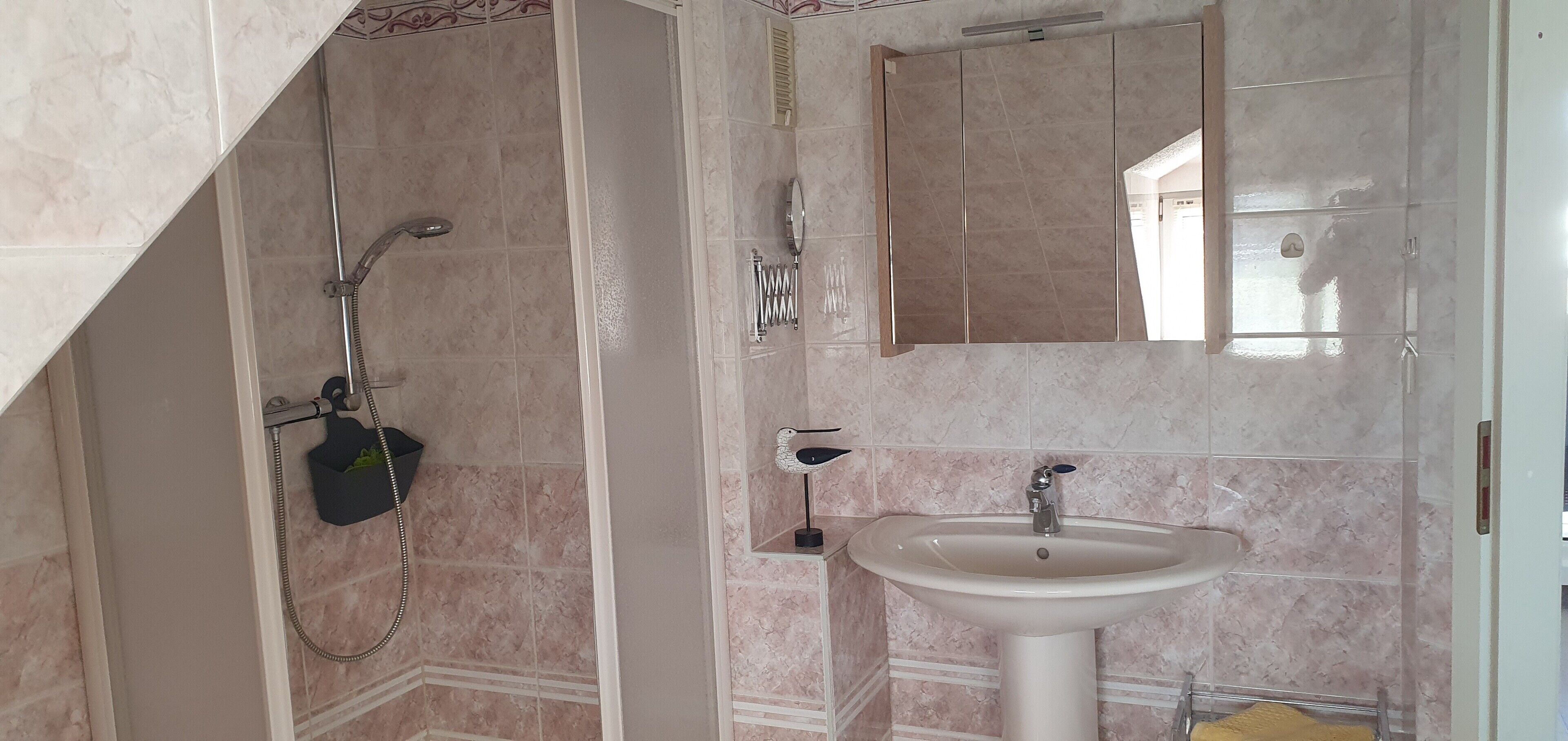 Un bagno con doccia, lavandino e specchio.