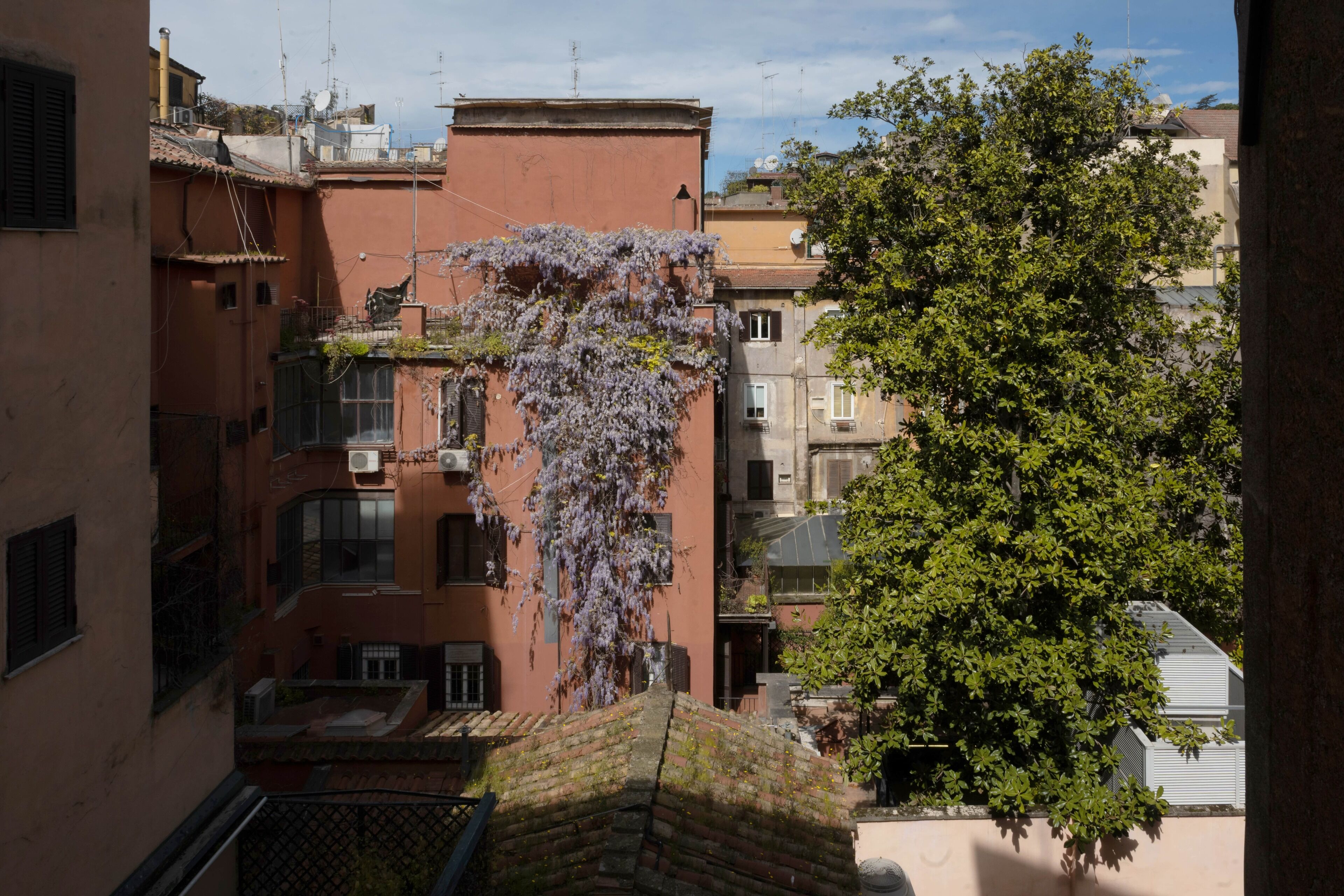 Une rue étroite, bordée de bâtiments des deux côtés, un arbre aux feuilles vertes et un bâtiment à la façade rouge.