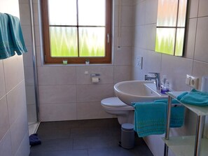 Shower, hair dryer, towels