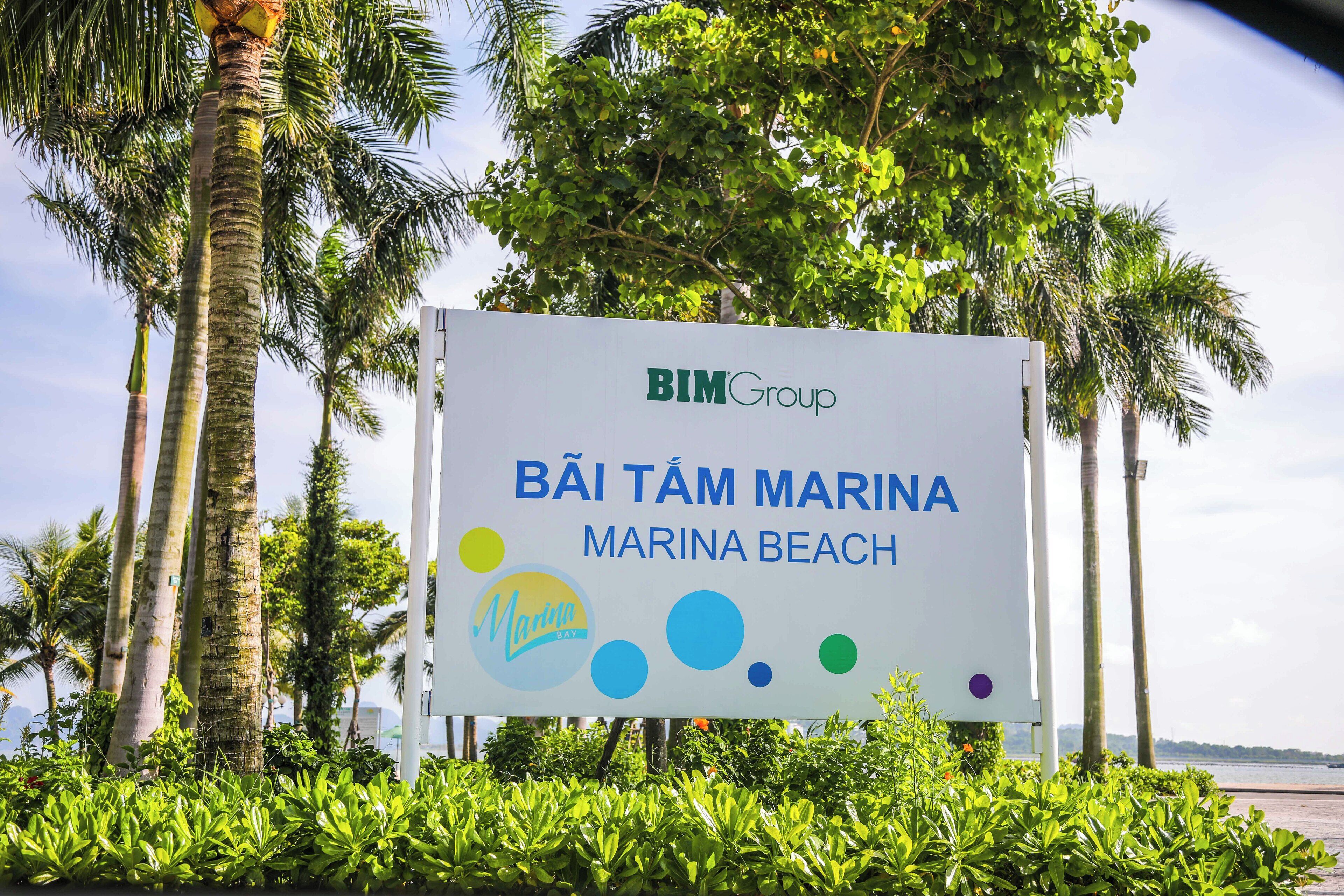 A sign for Bãi Tâm Marina with palm trees and greenery around.