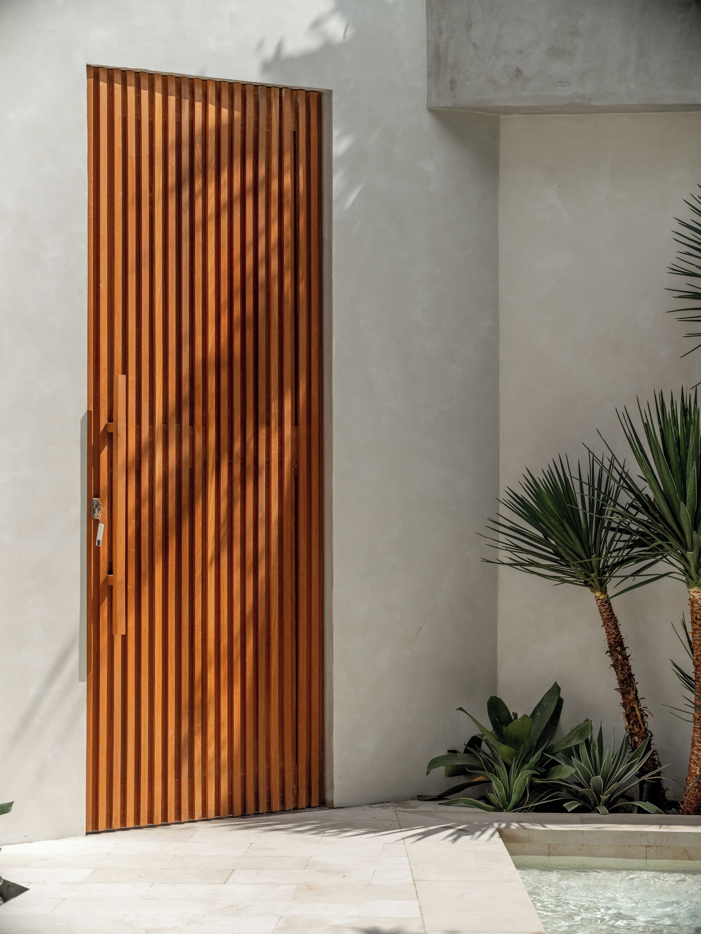 Una puerta de madera moderna con listones verticales, pared de concreto y un pequeño área con plantas tropicales.