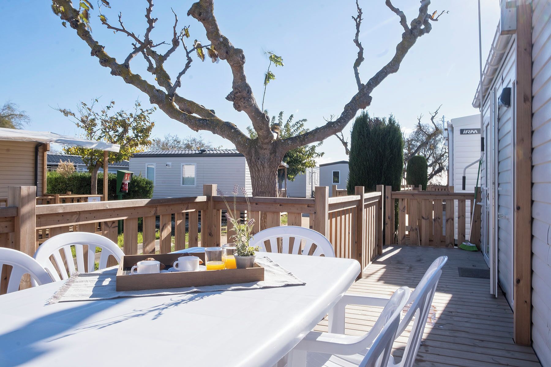 A deck with a table set for breakfast, surrounded by a wooden fence, with a large tree and mobile homes in the background.