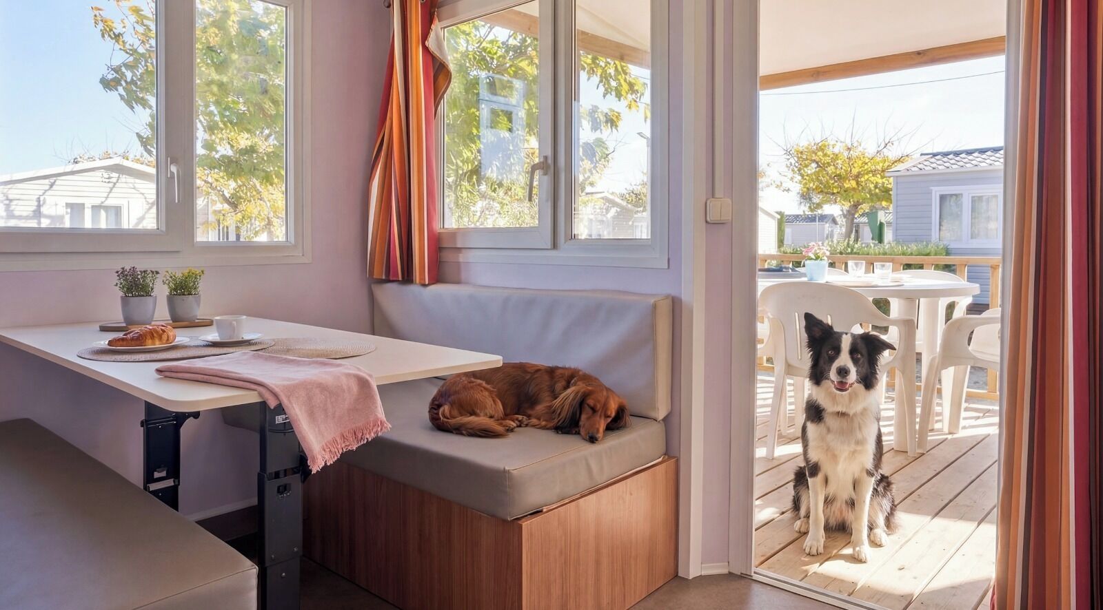 Una stanza accogliente con un divano, un tavolo con una tazza e un dolce, e un cane che riposa sul divano.