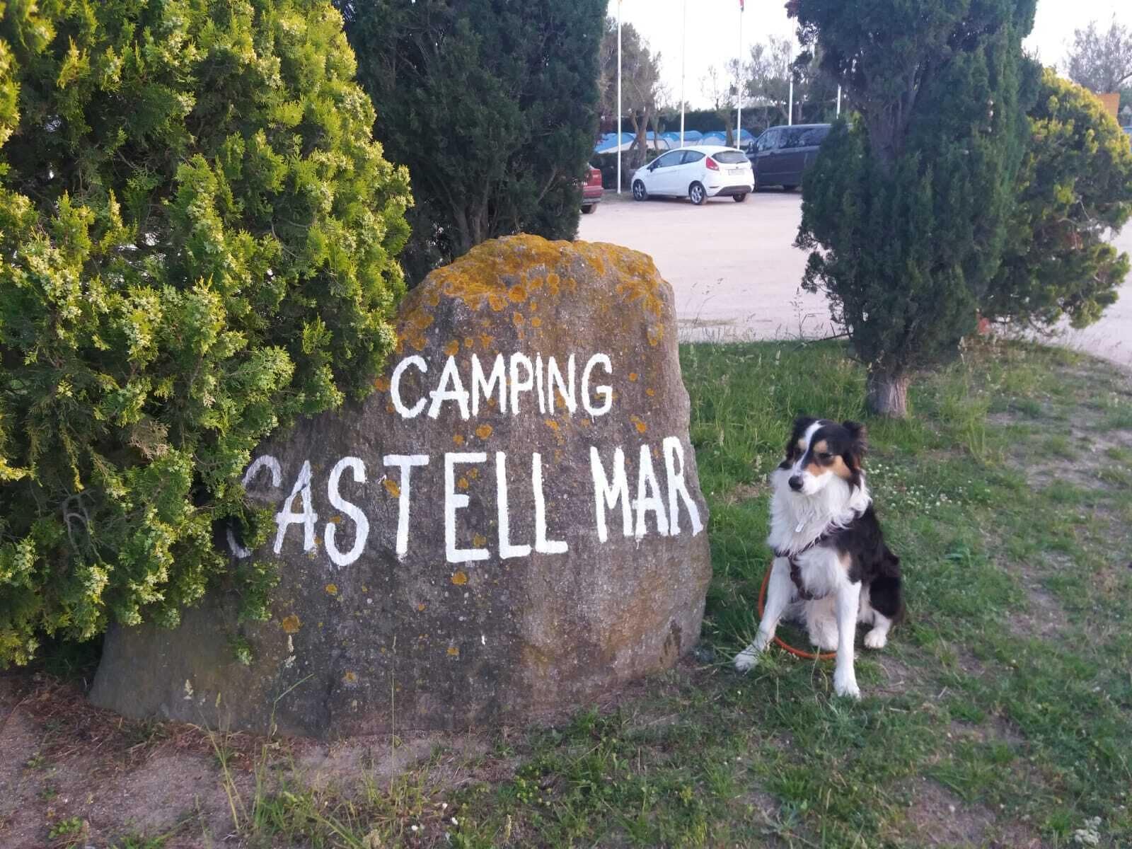 Una roca con la inscripción 'CAMPING CASTELL MAR', rodeada de follaje.