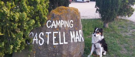Una roca con la inscripción 'CAMPING CASTELL MAR', rodeada de follaje.