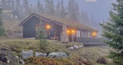 Large cabin at Sjusjøen with sauna, fireplace, view and cross-country skiing