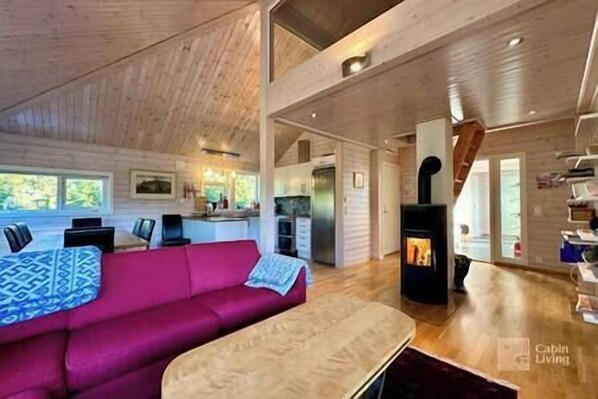 TV, fireplace, books, offices