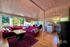 TV, fireplace, books, offices
