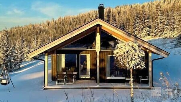 Une cabane dotée d’un toit en pente, de grandes fenêtres et offrant une vue sur une forêt enneigée.
