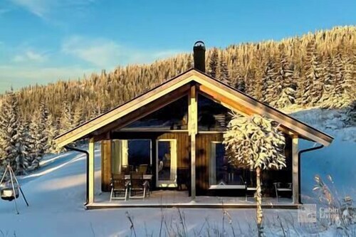 Brand new large cabin with sauna and ski in out
