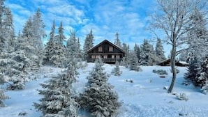 Una cabaña de madera rodeada de árboles cubiertos de nieve.