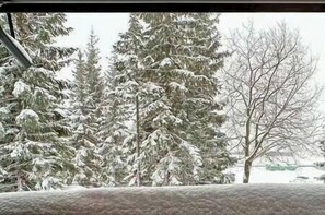 Vista desde la propiedad