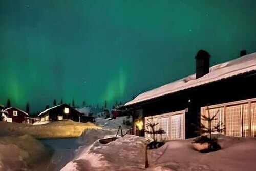 Family-friendly cabin Hemsedal with golf, ski in/out, fireplace and wifi