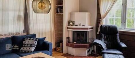 TV connectée, cheminée, livres, chaßne hi-fi