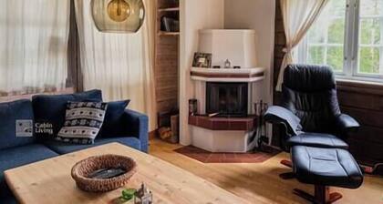 Nice apartment in Trysil ski in/out, sauna and view