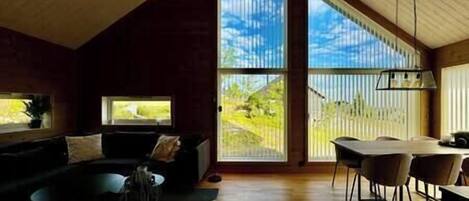 Smart TV, fireplace, stereo