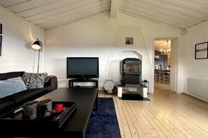 TV - Large cabin Sjusjøen – XC ski in/out & lovely view (Ringsaker)