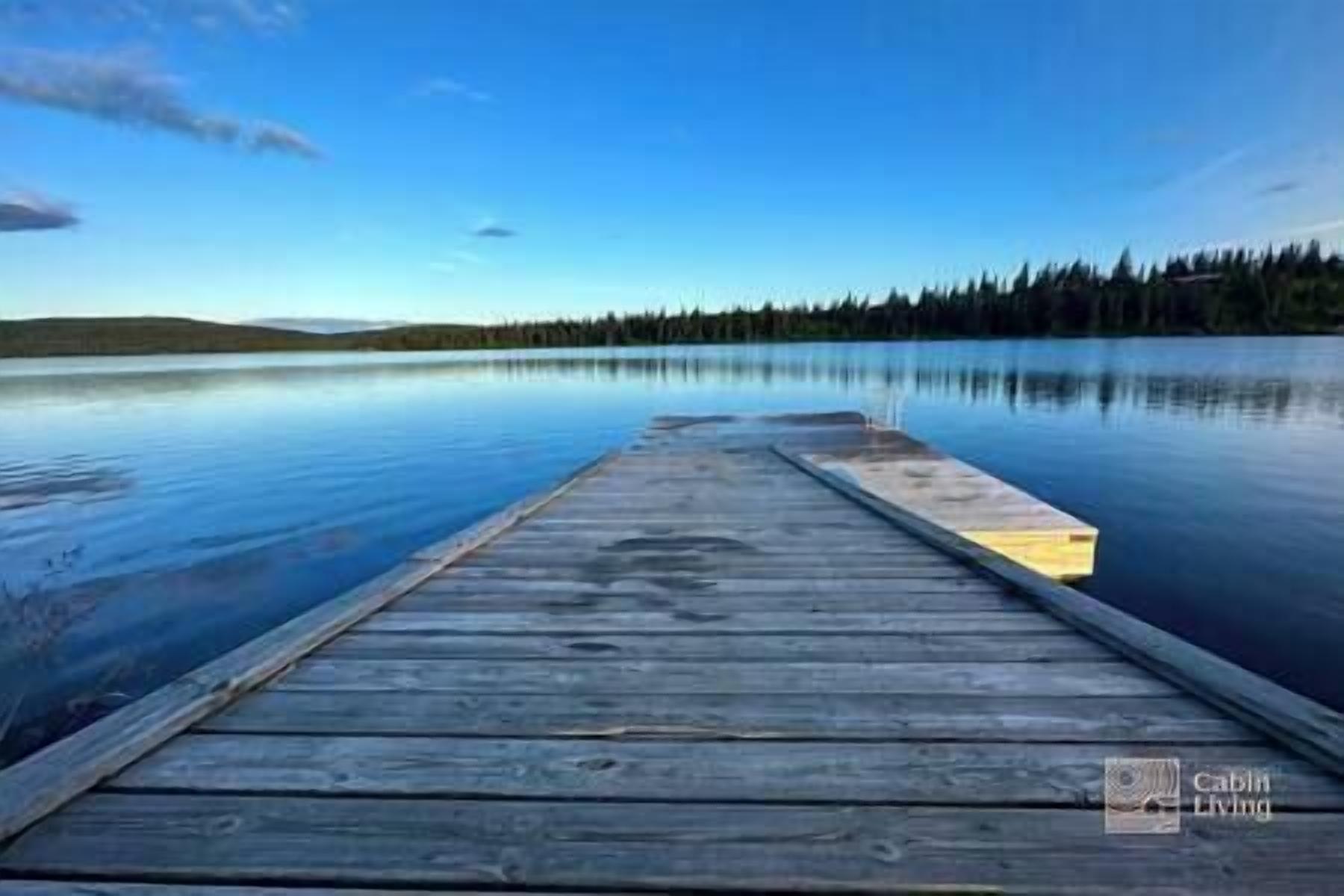 A wooden dock extending into a calm lake with a forest in the background.