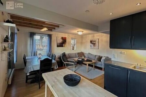 Modern apartment Hovden ski in/out x-skiing, 2 bathrooms and balcony