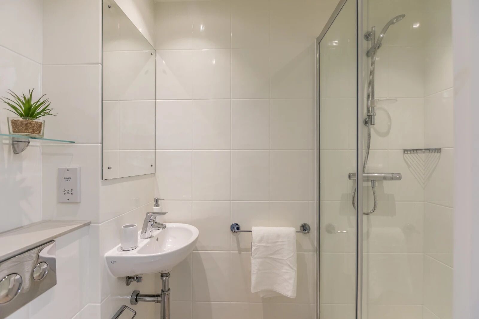 A modern bathroom with a glass-enclosed shower, a white sink, and a small shelf with a plant.