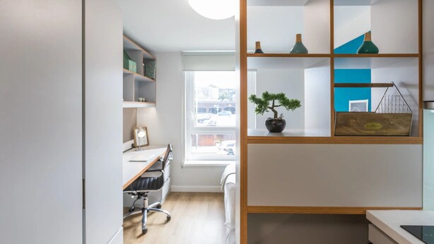 A modern office space with a desk, chair, shelves, and a potted plant. - Student Only Stoneworks (Brighton)