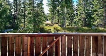 Cozy apartment ski in/out, BBQ & Wifi Sjusjøen