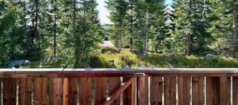 Cozy apartment ski in/out, BBQ & Wifi Sjusjøen