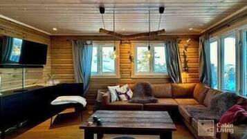 Fernseher, Computerbildschirme